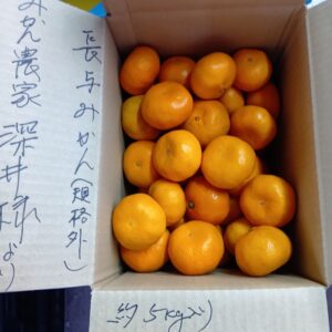長与みかん５ｋｇ入り（規格外）