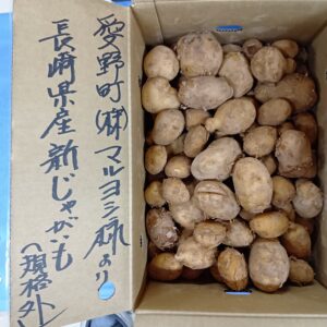 長崎県産新じゃがいも（規格外＝５㎏入り）