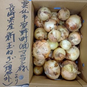 長崎県産新たまねぎ（規格外＝約５ｋｇ）
