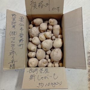 長崎県産新じゃがいも（規格外）約１０ｋｇ